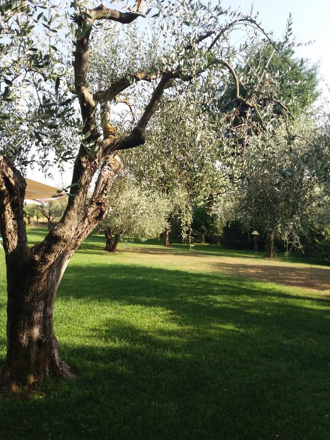La Querciolaia B&B Масса Экстерьер фото